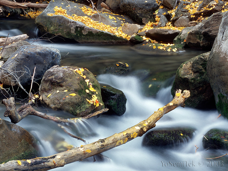FallLeavesSoftenedWater_02