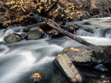 FallLeaves_SoftenedWater_03